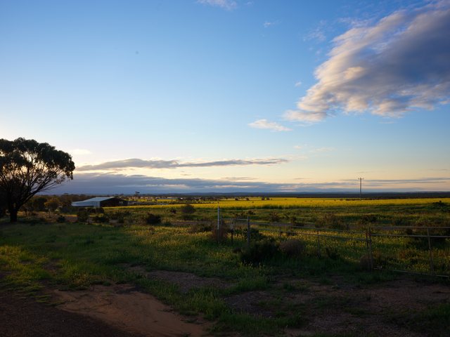 夕阳下的开阔田野。