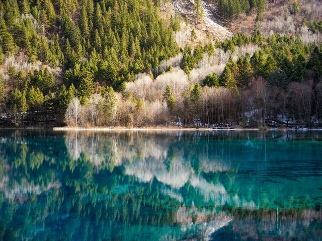树林与山坡倒映在湖水里。